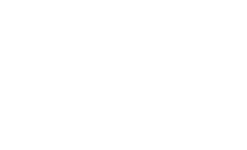 Logo las consultant wit